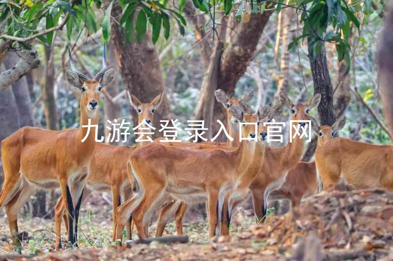 九游会登录入口官网